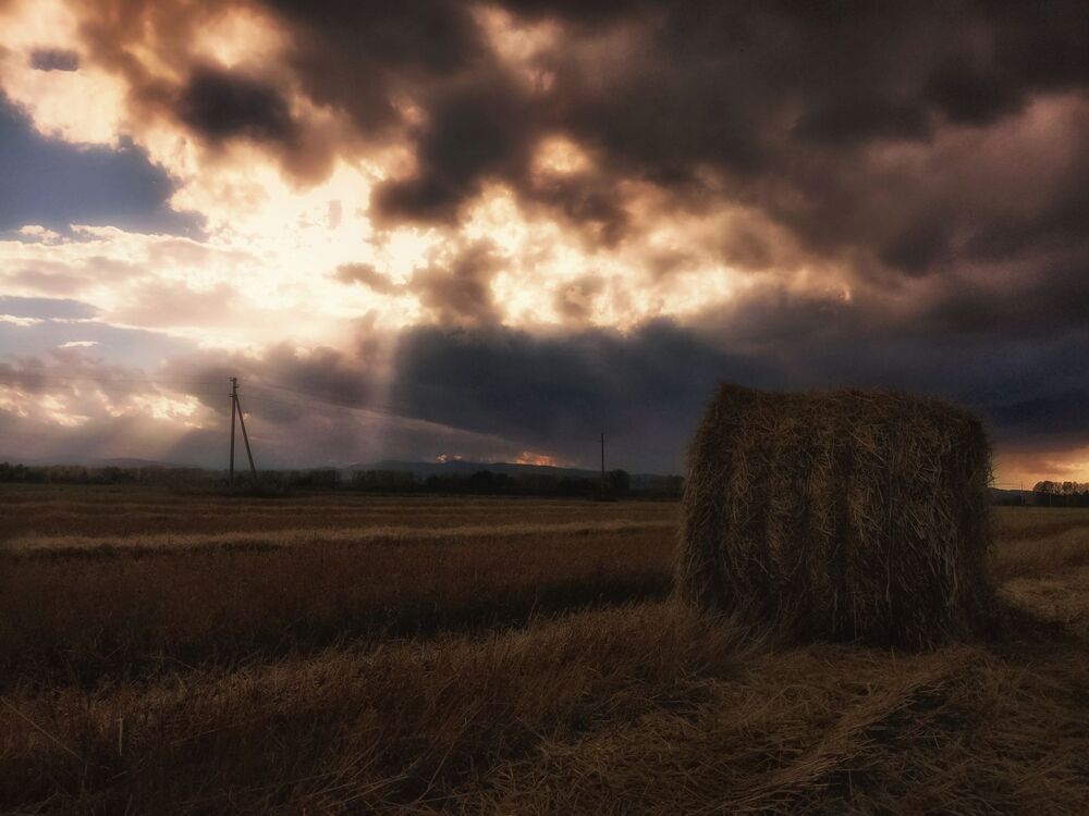 Осенние зарисовки 