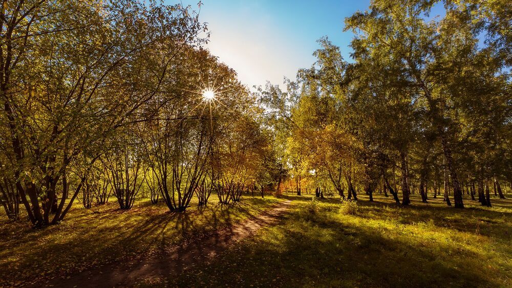 Осень