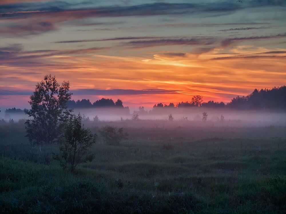Из ночи в день...