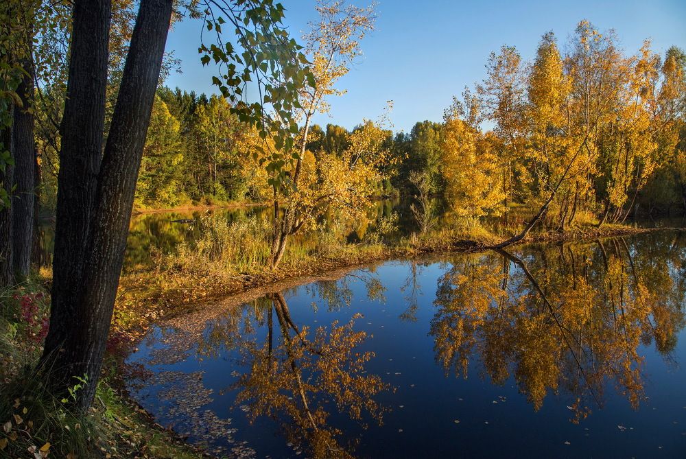 Утренняя палитра...