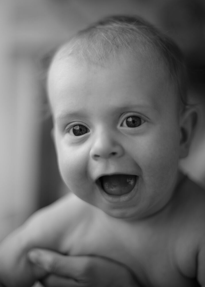Photo 1337886