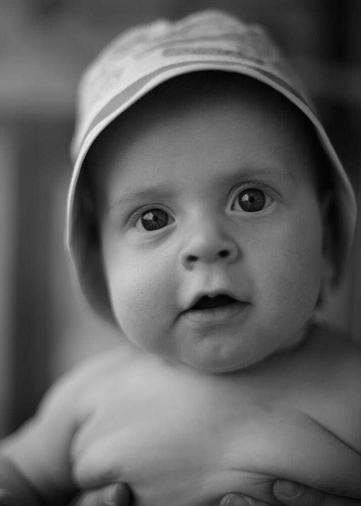 Photo 1337888