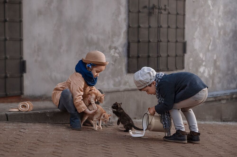 Котята/Кittens