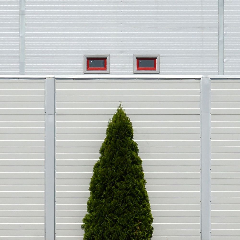 Photo 1339193