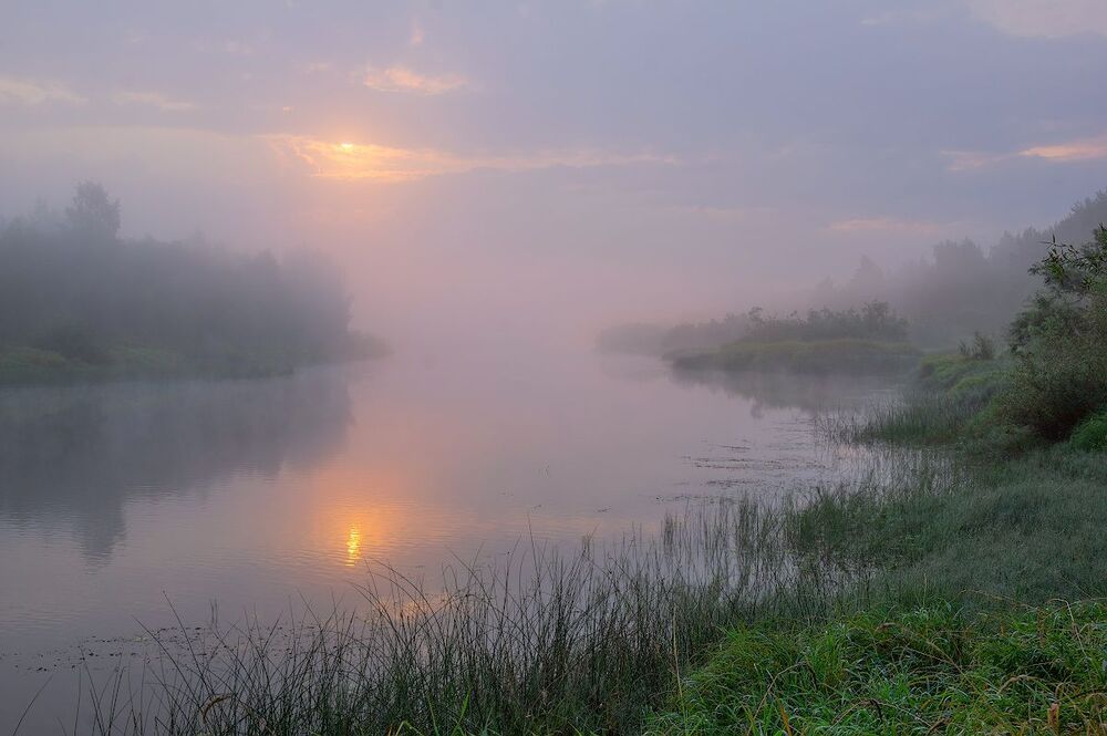 в тумане