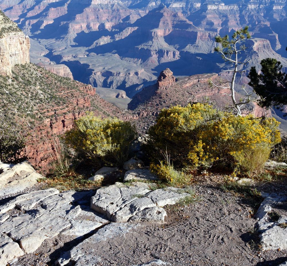 Great Canyon