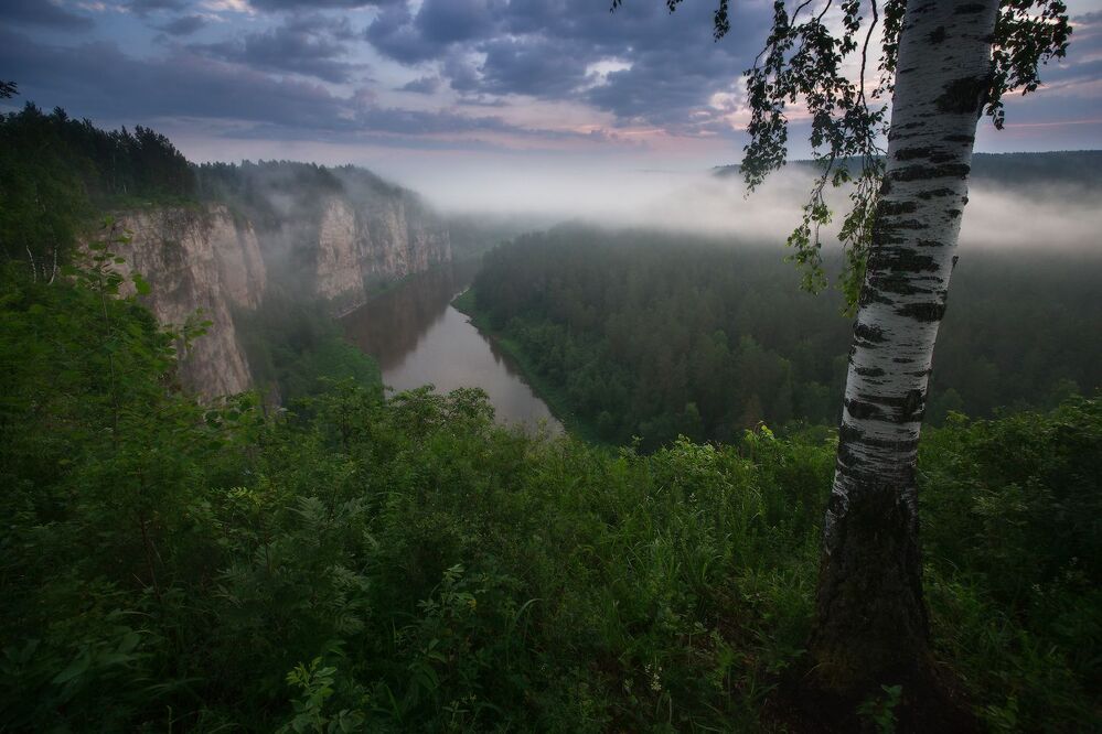 Ранним летним утром