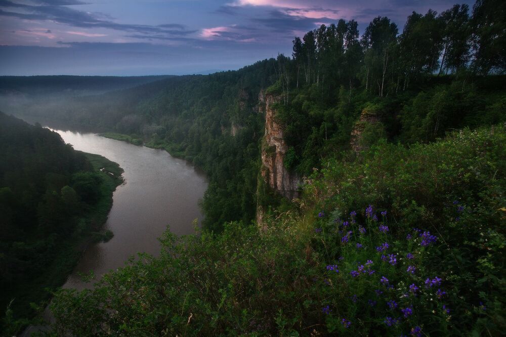 Ранним летним утром