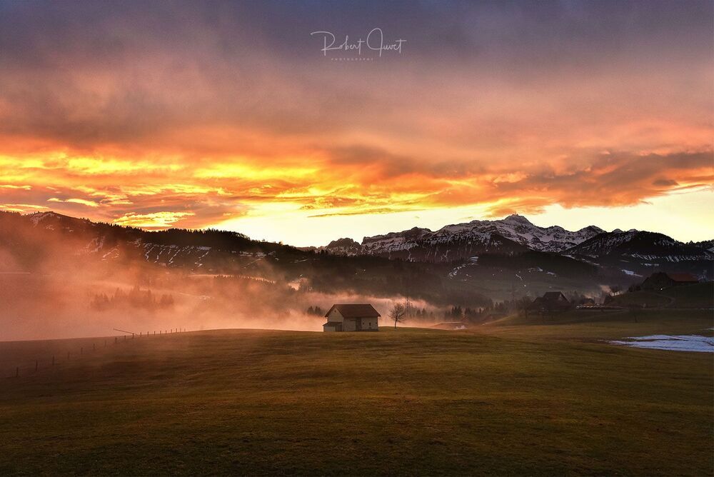 Robert Juvet Photography