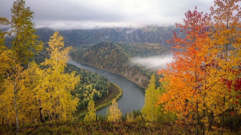 Осень в телефоне