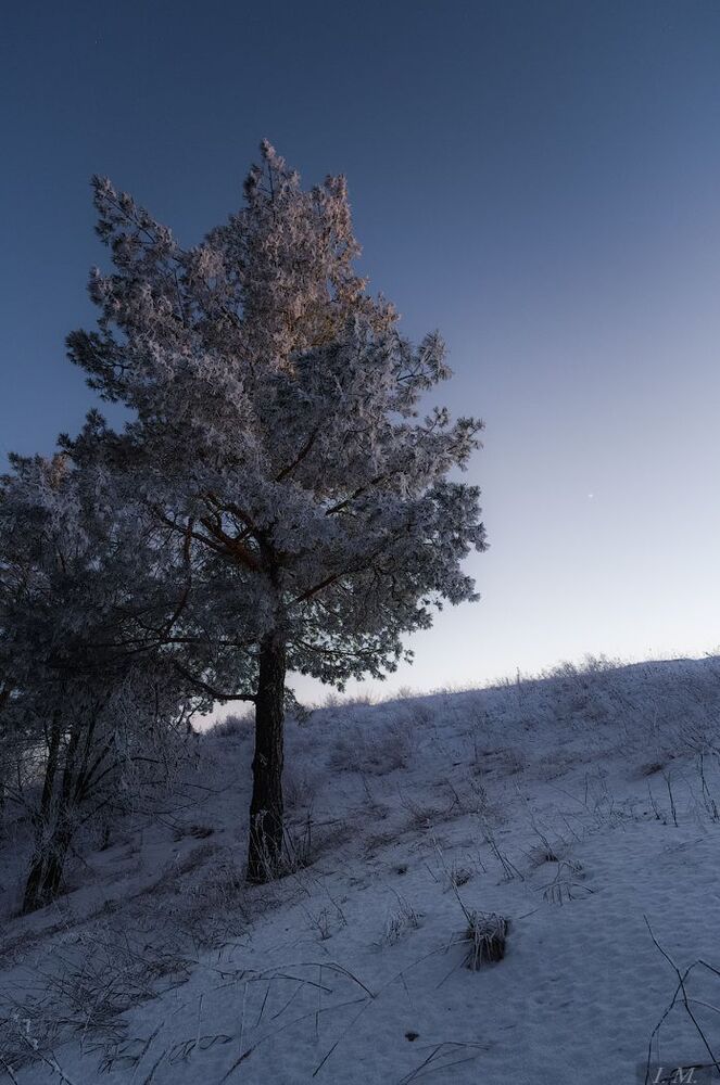 Frozen ..