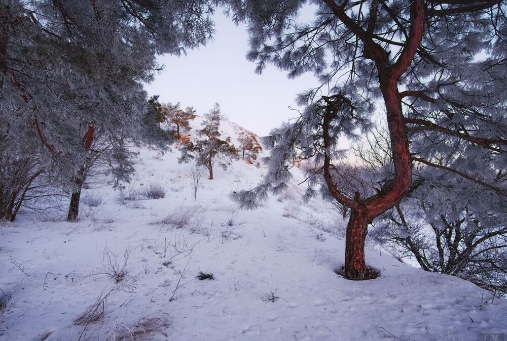 Frozen ..