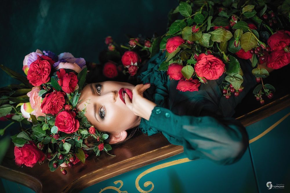 Roses Catherine