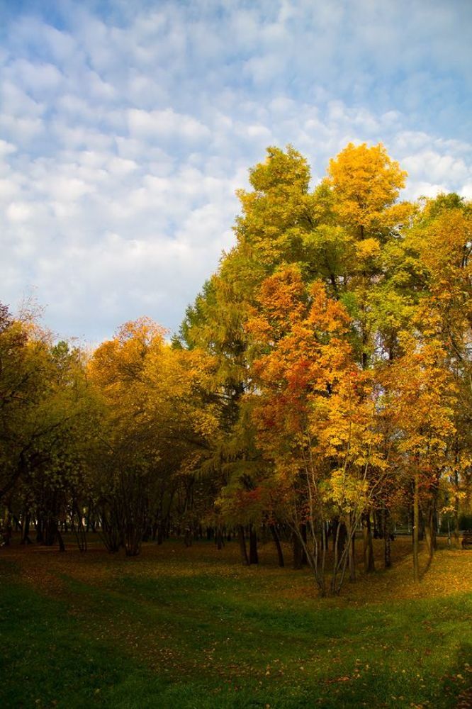 Осенние зарисовки