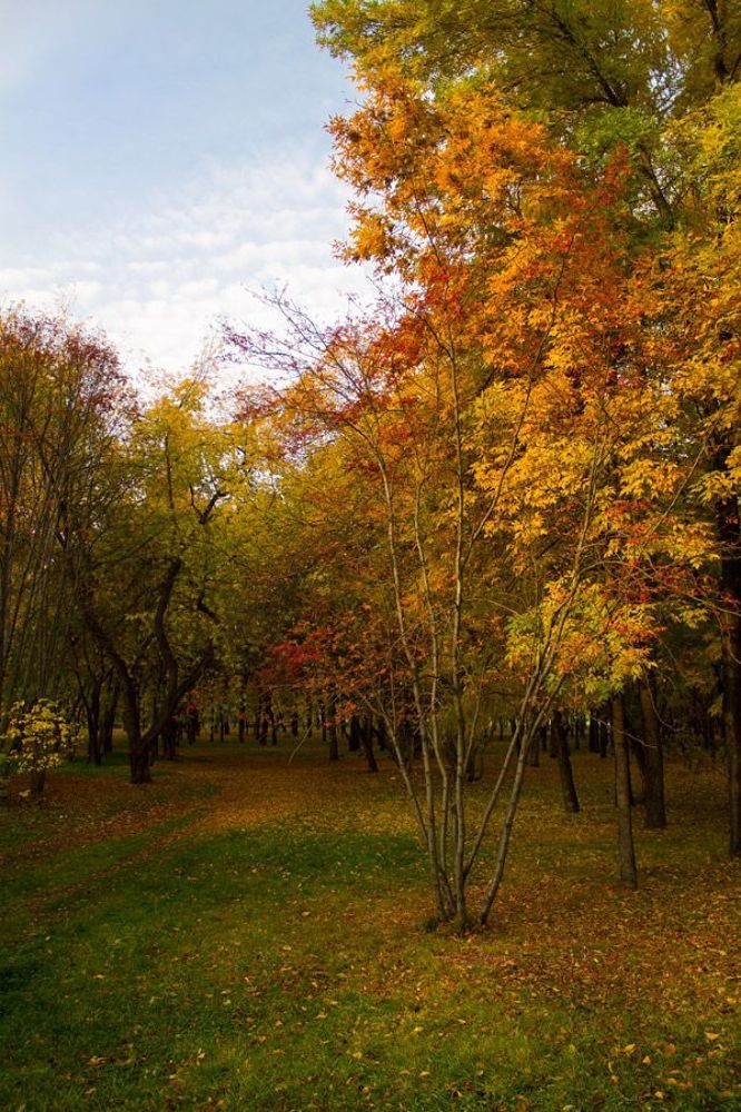 Осенние зарисовки