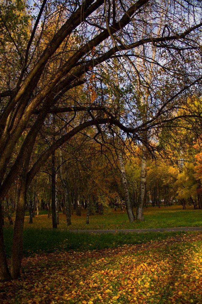 Осенние зарисовки