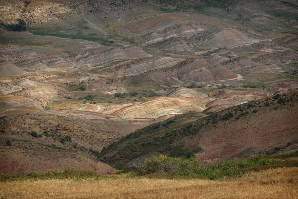 Гареджийский кряж