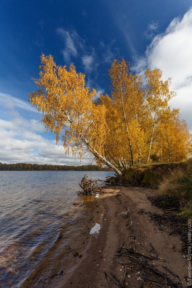 Вельё