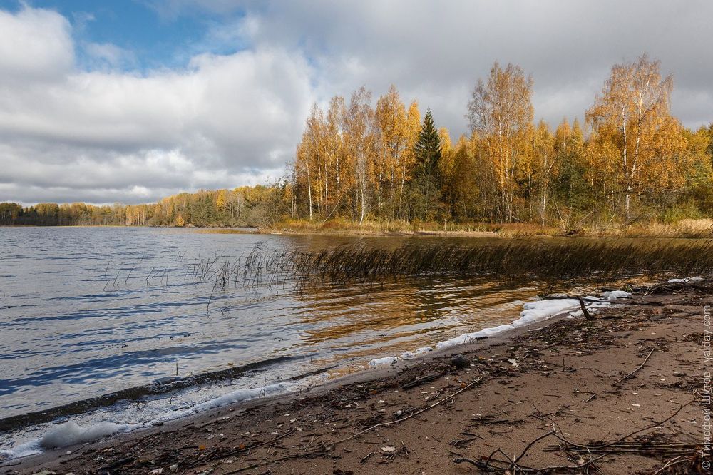 Вельё