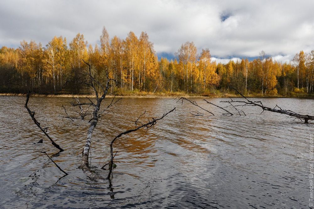 Вельё