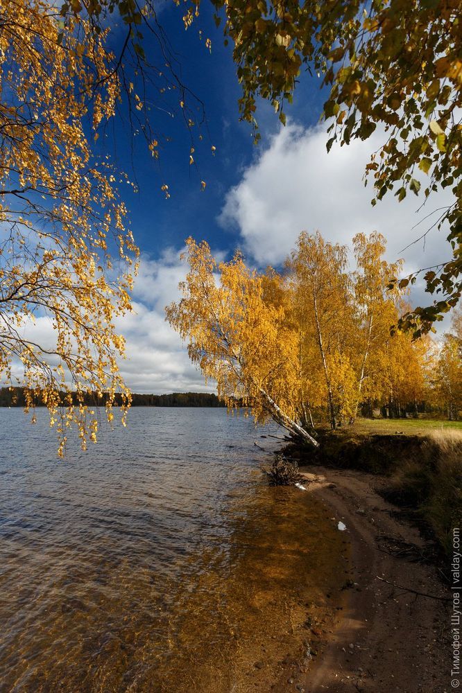 Вельё