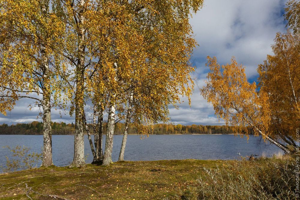 Вельё