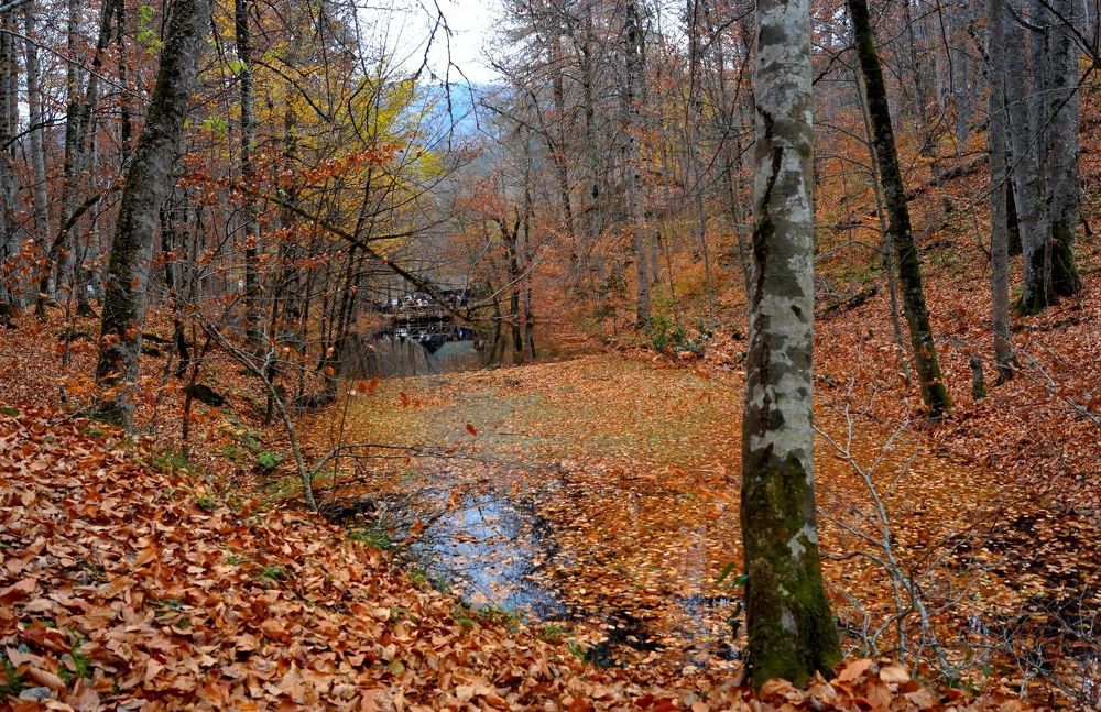 Seven Lakes