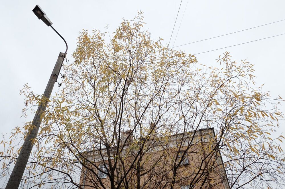 Осень