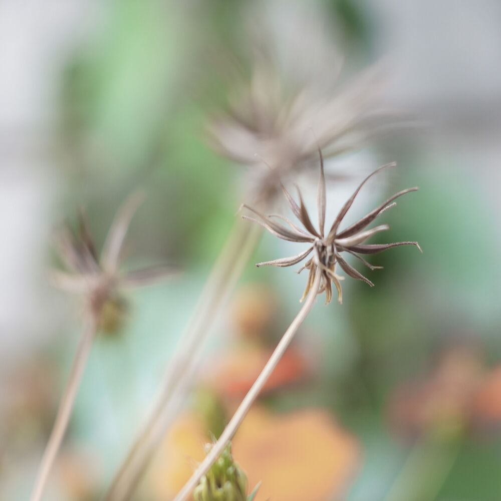 Photo 1348209