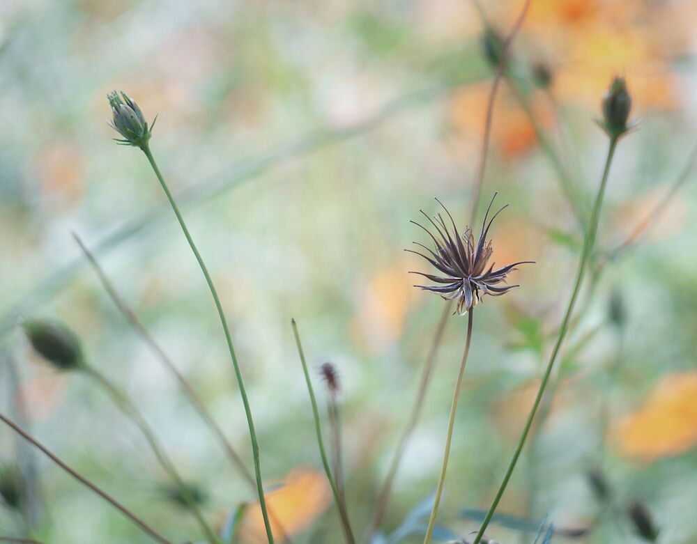 Photo 1348212