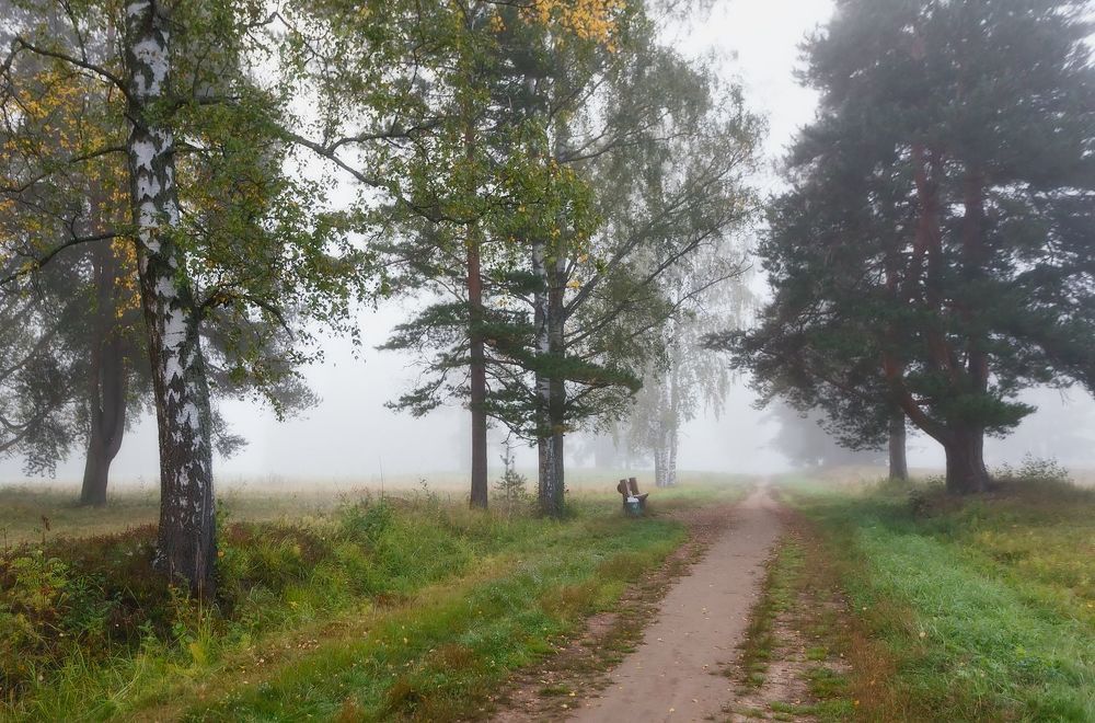 Но время поджимало. . .ещё успеть домчаться до Пушкина....