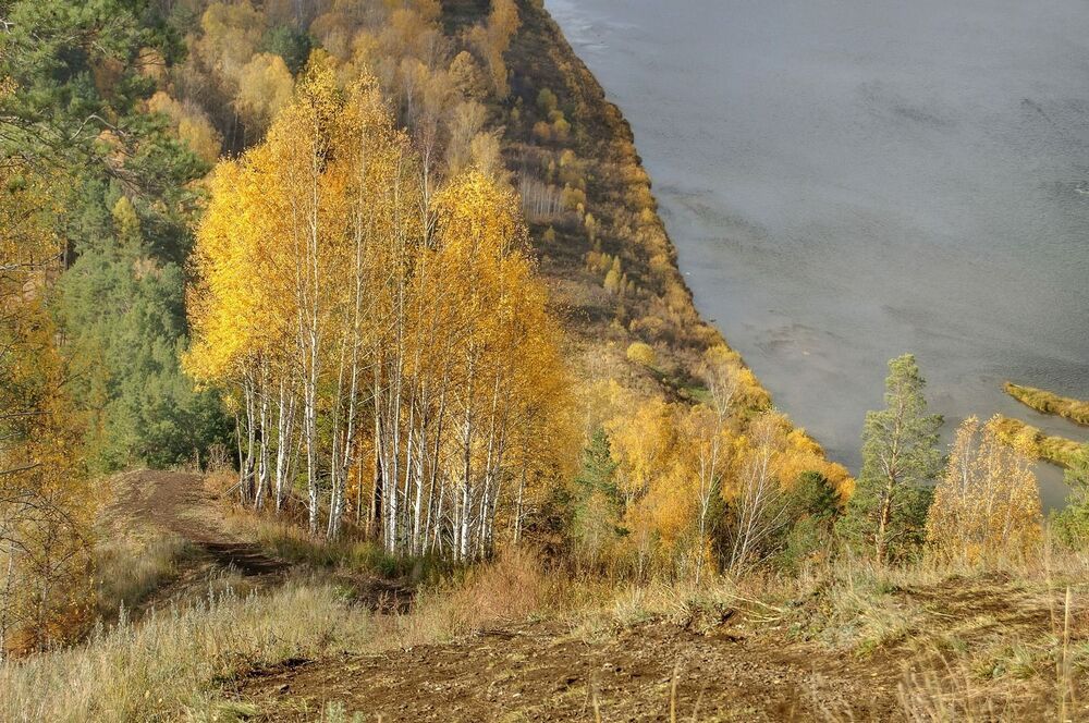 Золотая осень.