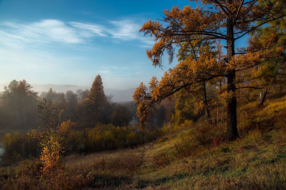 Золотая осень на Кручине