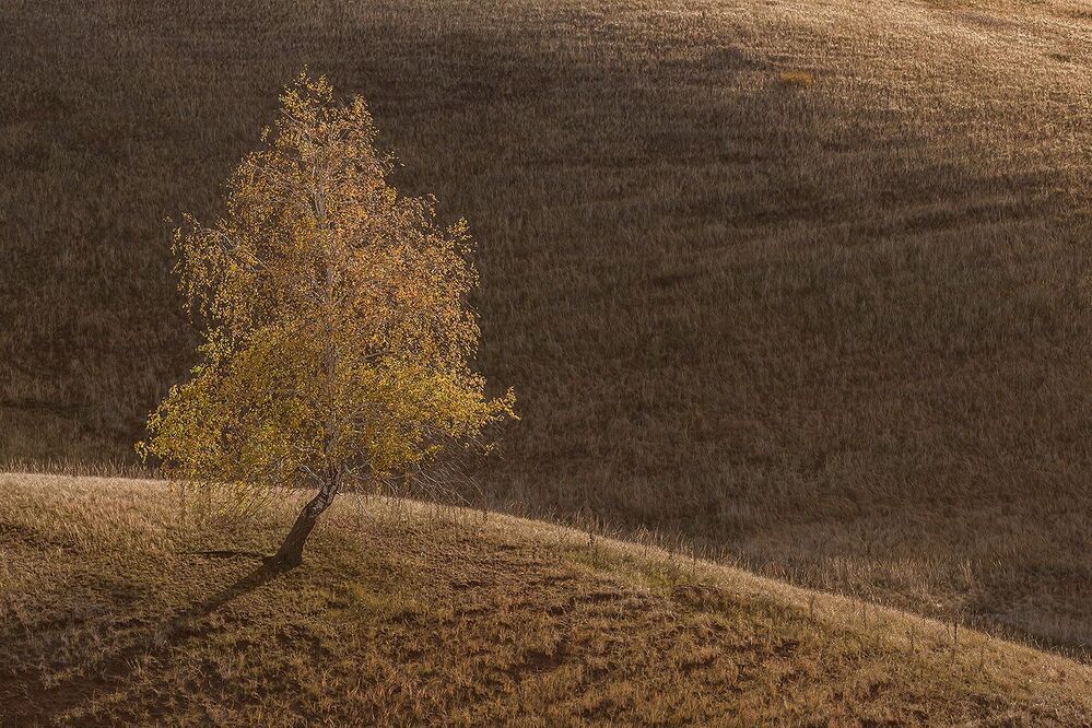 Золотая осень