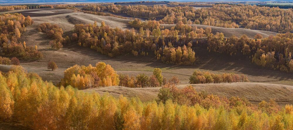 Золотая осень