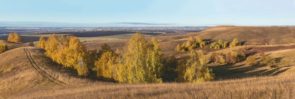 Золотая осень