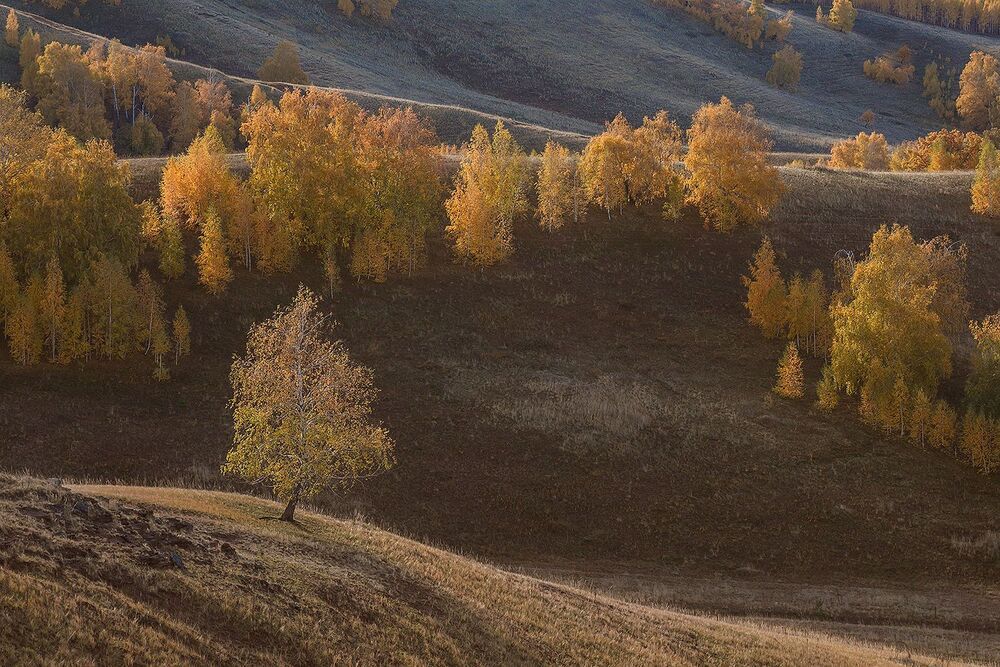 Золотая осень