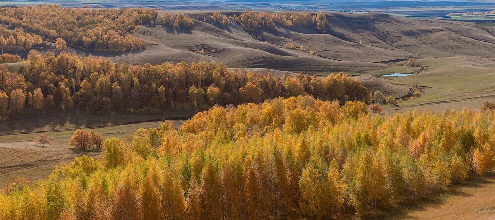 Золотая осень