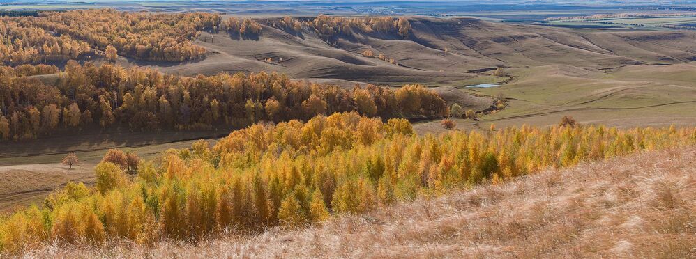 Золотая осень