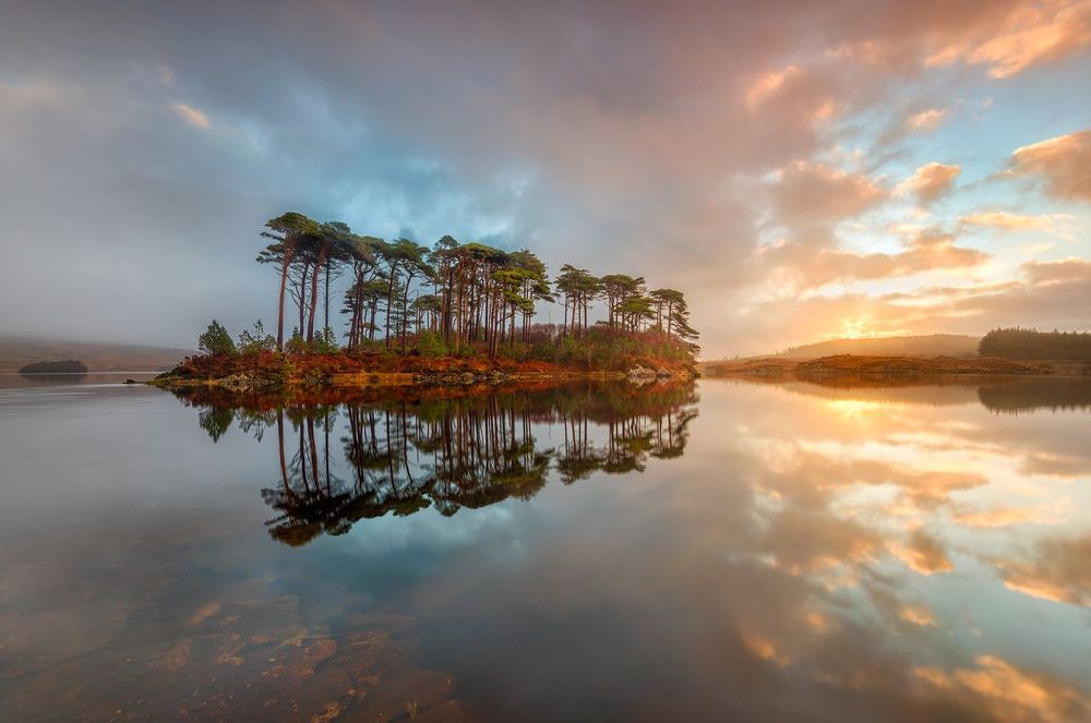 Landscapes by Greg