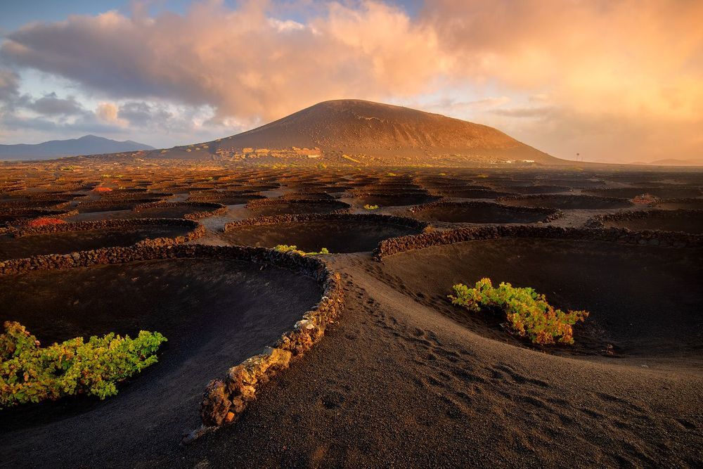 Landscapes by Greg