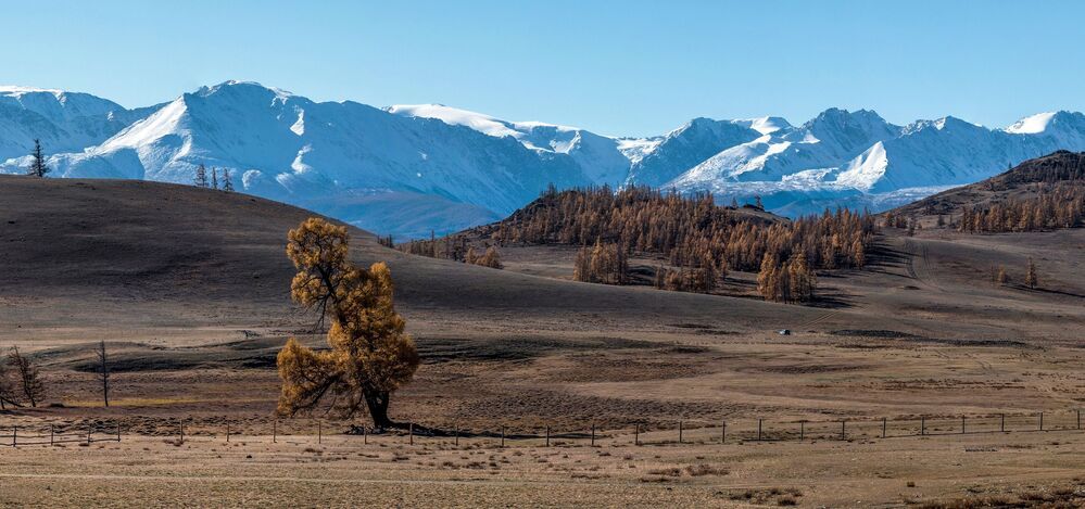 В окрестностях Курая