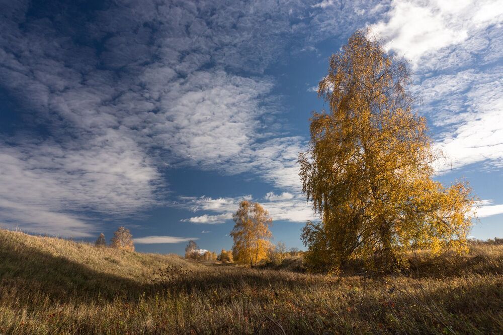 Photo 1352615