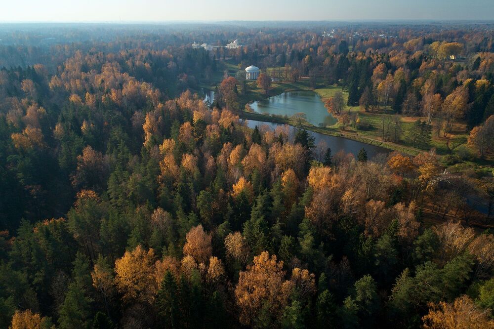 Павловск. Осеннее утро.