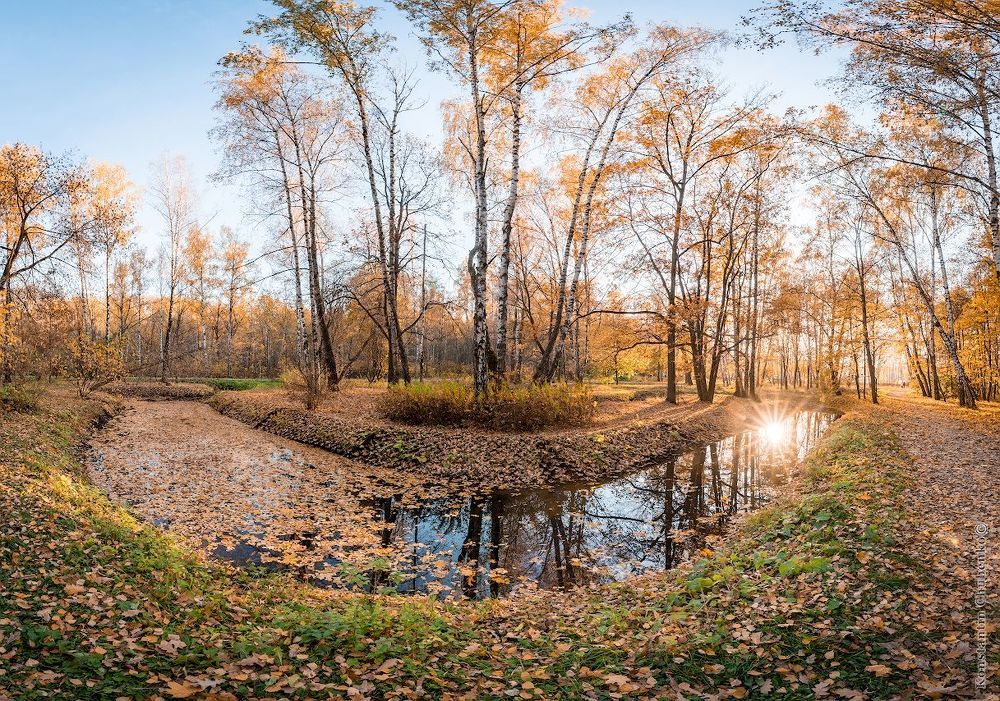 Золотая осень в Сокольниках