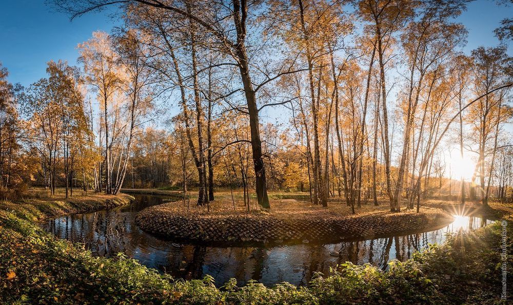 Золотая осень в Сокольниках