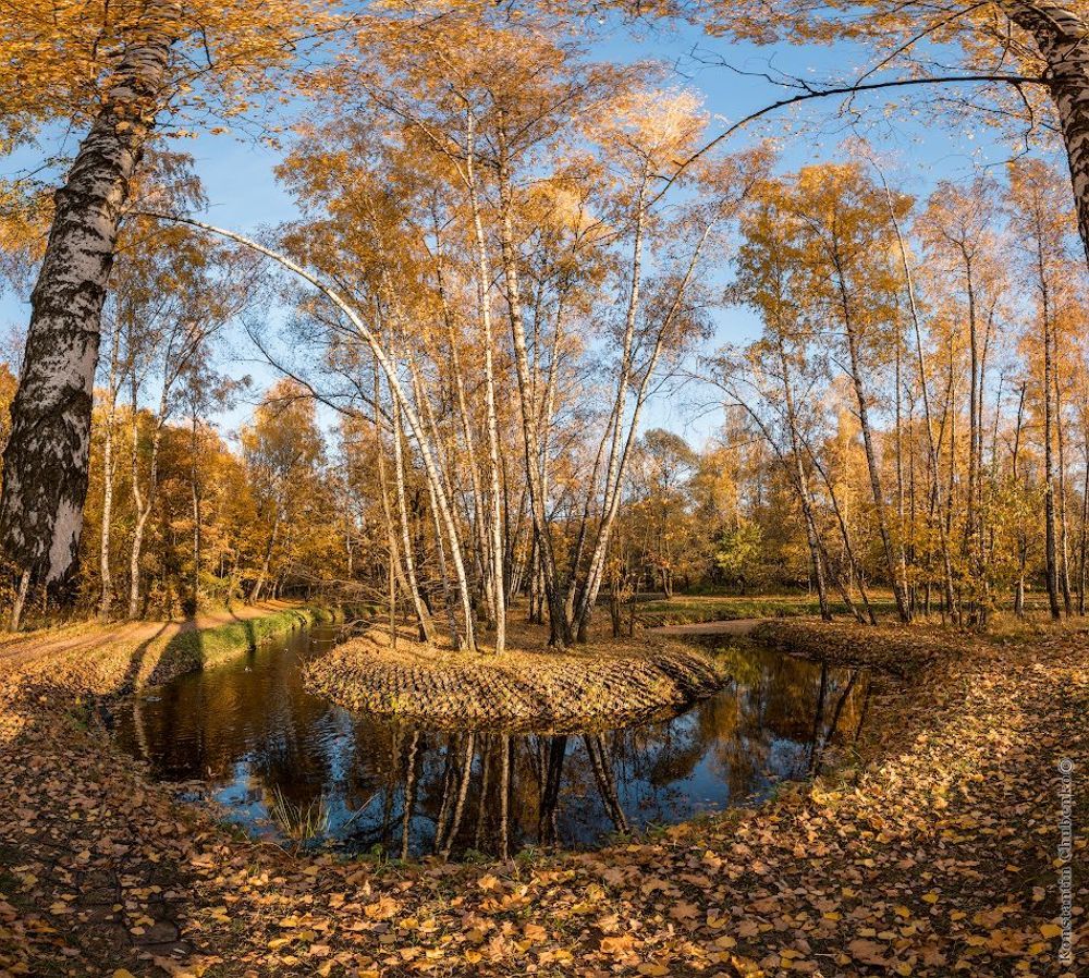 Золотая осень в Сокольниках