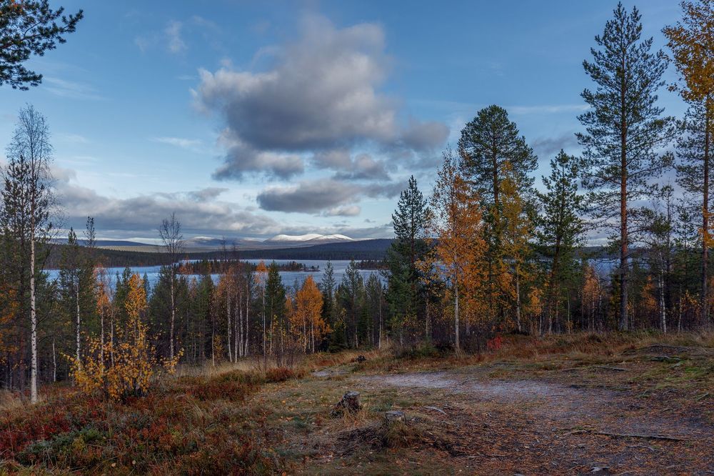 Suomen Lappi