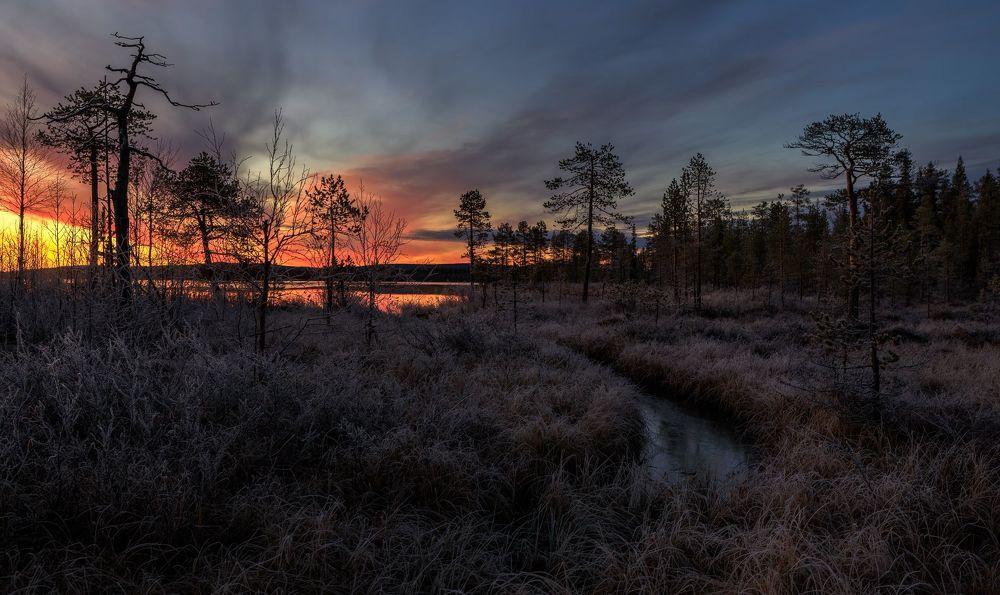 Suomen Lappi