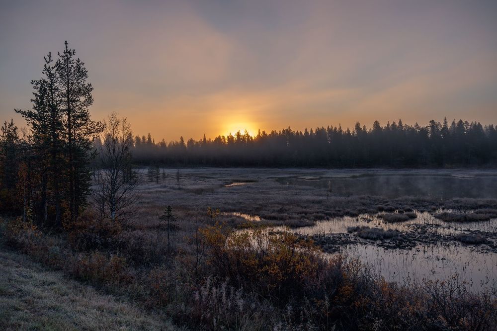Suomen Lappi